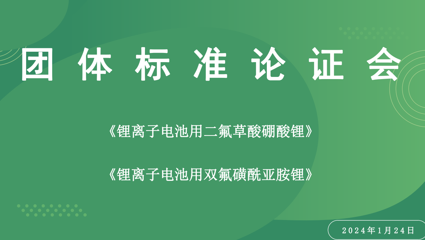 《锂离子电池用二氟草酸硼酸锂》和《锂离子电池用双氟磺酰亚胺锂》团体标准论证会